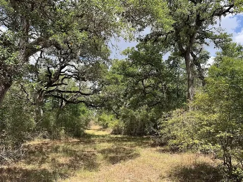 00 Private Road 1581 Road Hallettsville TX 77964