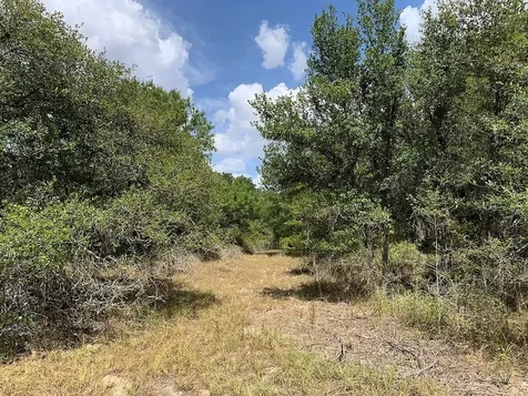 00 Private Road 1581 Road Hallettsville TX 77964