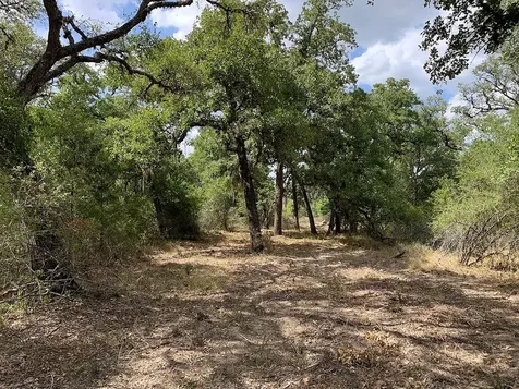 00 Private Road 1581 Road Hallettsville TX 77964