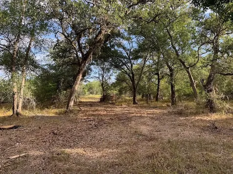00 Private Road 1581 Road Hallettsville TX 77964