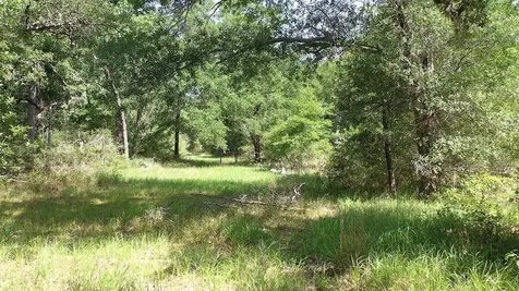 00 Private Road 1581 Road Hallettsville TX 77964