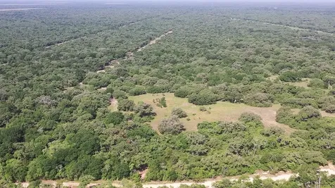 00 Private Road 1581 Road Hallettsville TX 77964