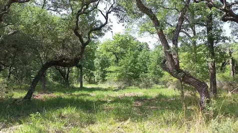 00 Private Road 1581 Road Hallettsville TX 77964