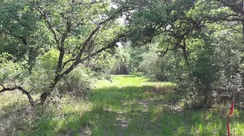 00 Private Road 1581 Road Hallettsville TX 77964