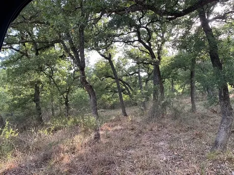 00 Private Road 1581 Road Hallettsville TX 77964