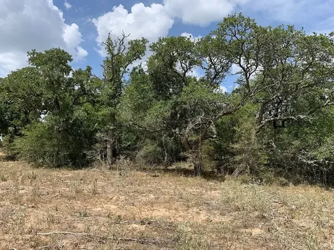 00 Private Road 1581 Road Hallettsville TX 77964