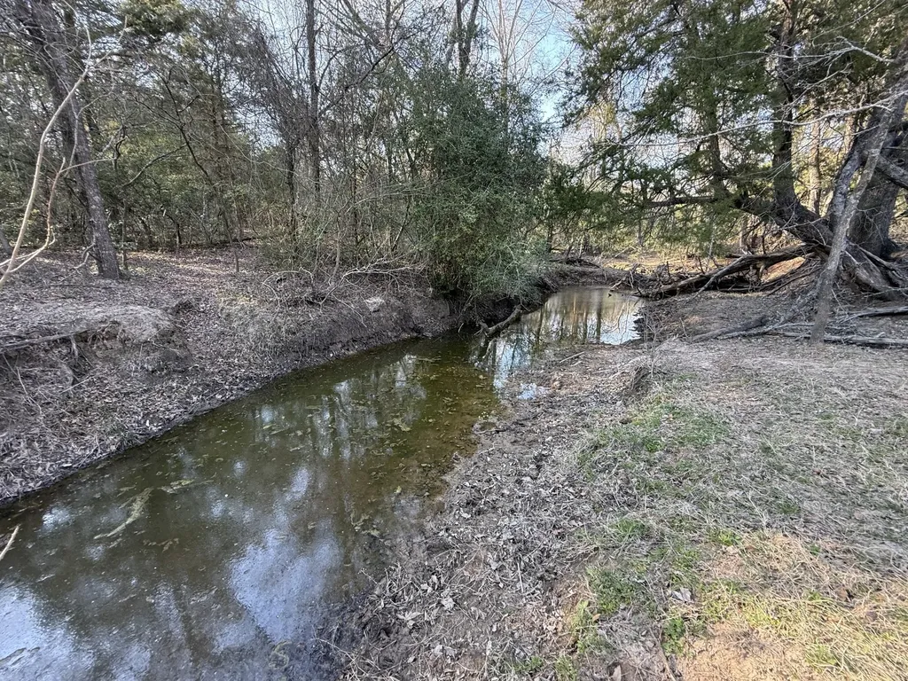 Tbd Tract 9 Fcr 445 Fairfield TX 75840