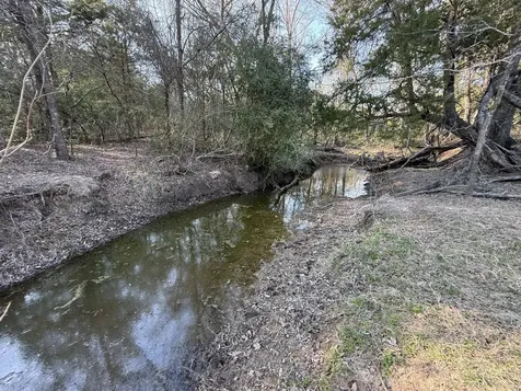 Tbd Tract 9 Fcr 445 Fairfield TX 75840