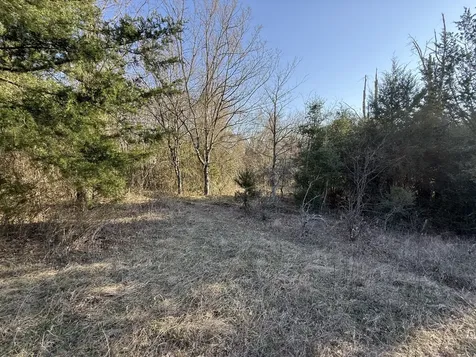 Tbd Tract 9 Fcr 445 Fairfield TX 75840