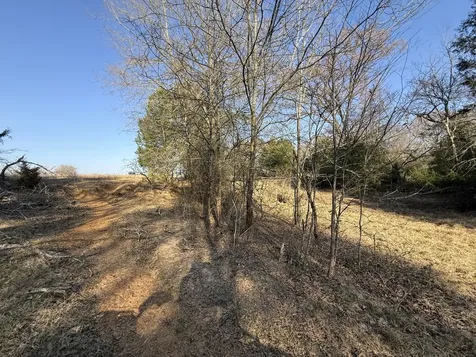 Tbd Tract 9 Fcr 445 Fairfield TX 75840