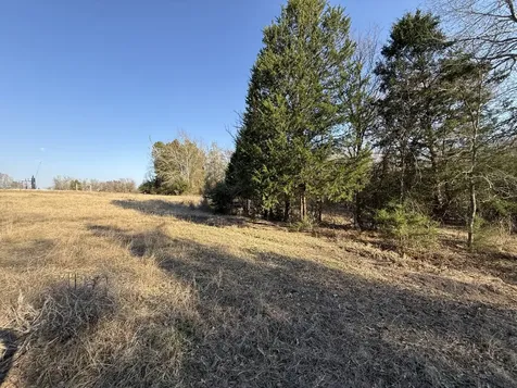 Tbd Tract 9 Fcr 445 Fairfield TX 75840
