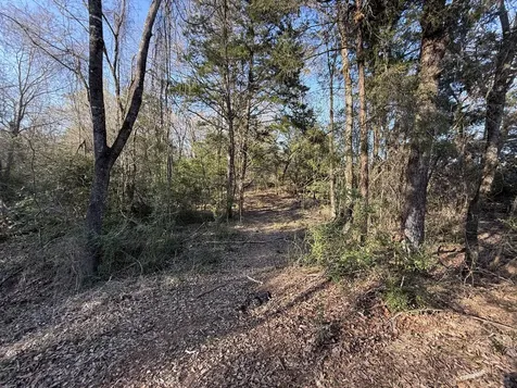 Tbd Tract 9 Fcr 445 Fairfield TX 75840