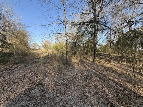 Tbd Tract 9 Fcr 445 Fairfield TX 75840