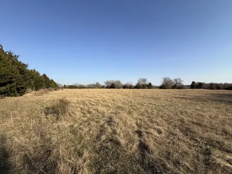 Tbd Tract 9 Fcr 445 Fairfield TX 75840
