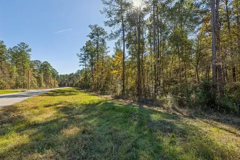 14-36-13 Sandpiper Drive New Waverly TX 77358
