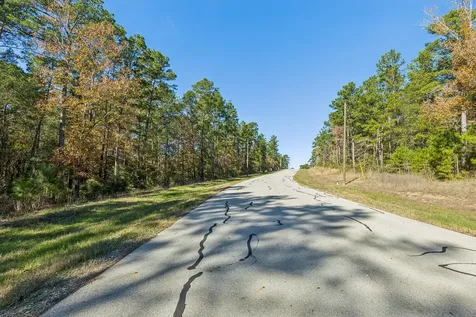 14-36-13 Sandpiper Drive New Waverly TX 77358