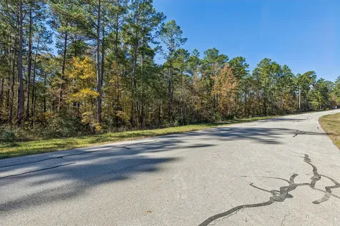 14-36-13 Sandpiper Drive New Waverly TX 77358