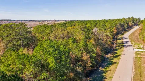 14-36-13 Sandpiper Drive New Waverly TX 77358