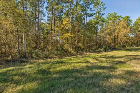 14-36-13 Sandpiper Drive New Waverly TX 77358