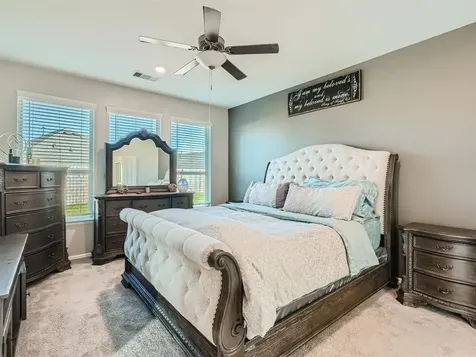 3735 Lion Creek Court Rosenberg TX 77469