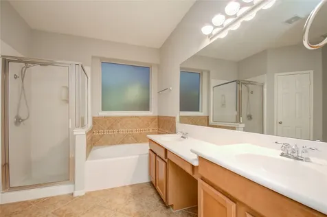 6411 Hope Wood Mills Drive Katy TX 77494