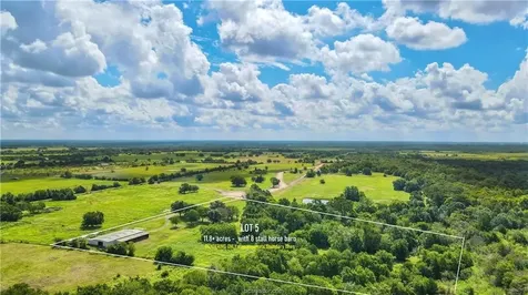 Tbd Hudson Farms Road - Tract 5 - 12 Acres Franklin TX 77859