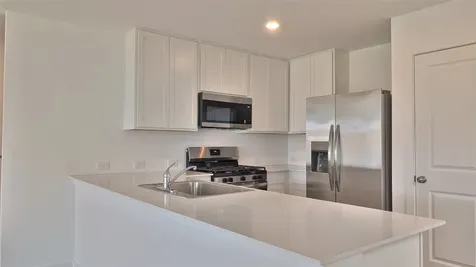 16806 Old Wagon Way Hockley TX 77447