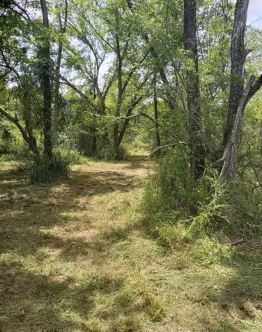 8115 Five Notch Road Marshall TX 75672