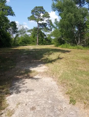 8115 Five Notch Road Marshall TX 75672