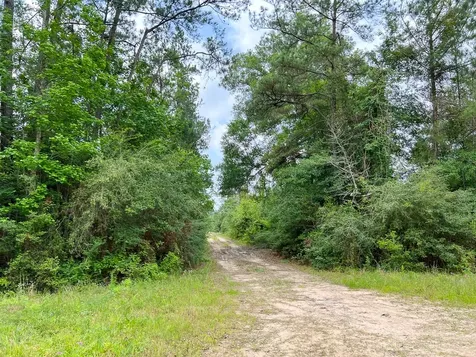 06 Fm 2937/old Arco Road Silsbee TX 77656