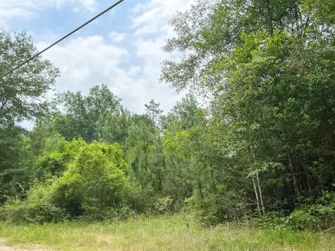 06 Fm 2937/old Arco Road Silsbee TX 77656