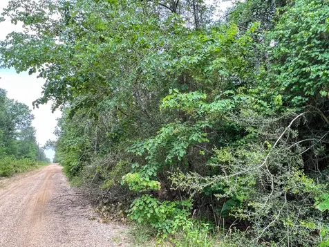 06 Fm 2937/old Arco Road Silsbee TX 77656
