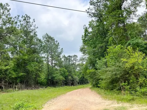 06 Fm 2937/old Arco Road Silsbee TX 77656