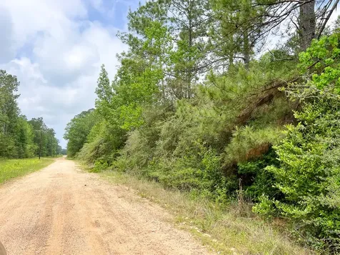 06 Fm 2937/old Arco Road Silsbee TX 77656