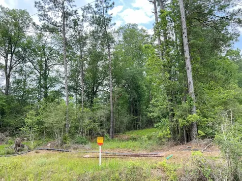 06 Fm 2937/old Arco Road Silsbee TX 77656