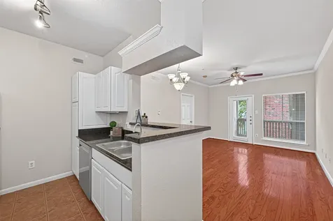 1330 Old Spanish Trail 3206 Houston TX 77054