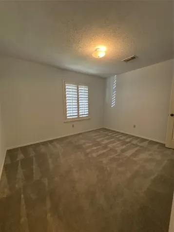 1323 Village Garden Drive Missouri City TX 77459