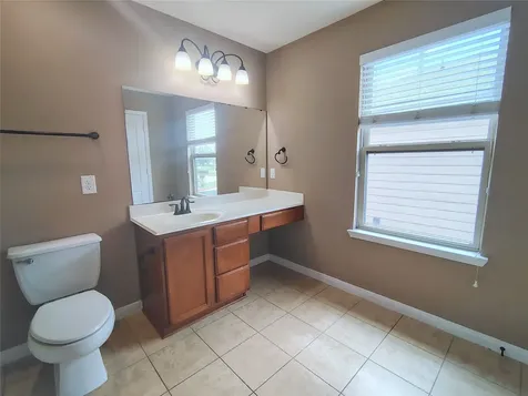 1206 Larks Trace Lane Houston TX 77090