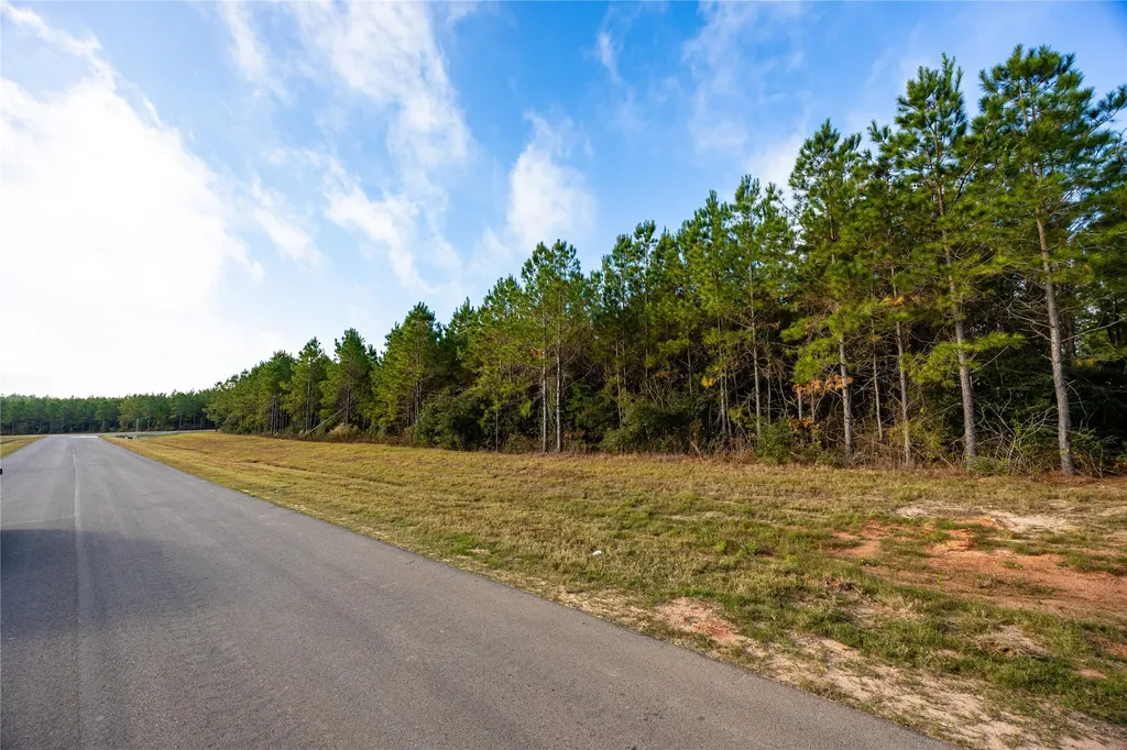 16320 Ridge Oak Road Willis TX 77378