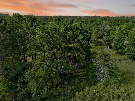 7449 Hwy 61 Highway Hankamer TX 77560