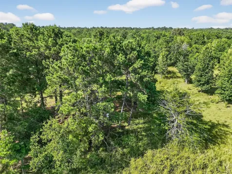 7449 Hwy 61 Highway Hankamer TX 77560