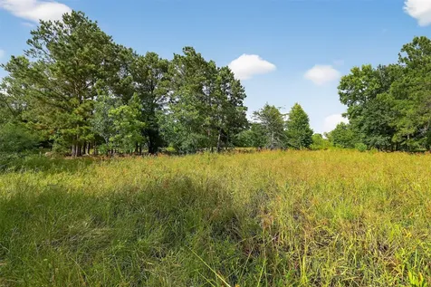 7449 Hwy 61 Highway Hankamer TX 77560