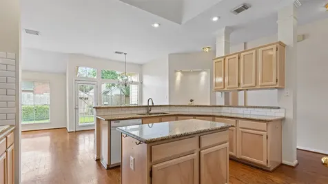 12835 Dove Brook Court Houston TX 77041