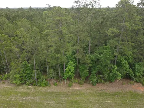 15386 Red Hawk Road Willis TX 77378