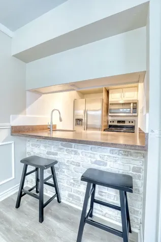 2201 Fountain View Drive J 15 Houston TX 77057