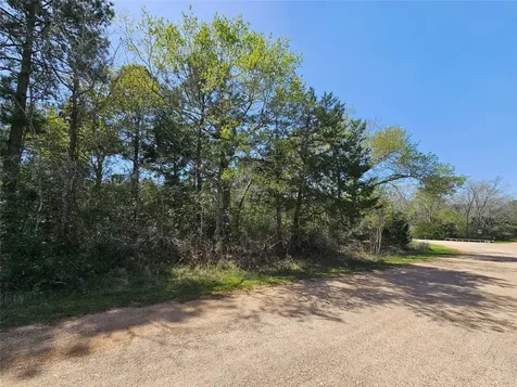 38501 Park View Drive Hempstead TX 77445