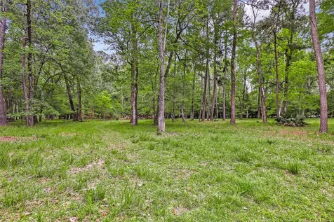 29006 Reserve Bend Drive Drive Huffman TX 77336