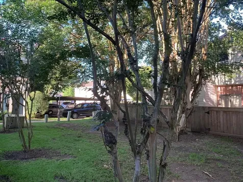 2910 Grants Lake Boulevard 1304 Sugar Land TX 77479