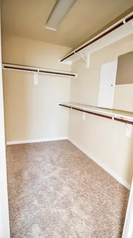 18910 Alta Pine Lane Richmond TX 77407