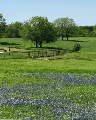 000 W Lot 31 Reserve At Chapell Hill Rd W Chappell Hill TX 77880